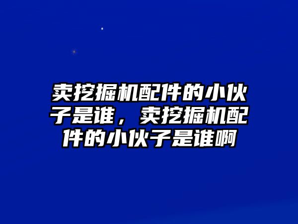 賣挖掘機(jī)配件的小伙子是誰，賣挖掘機(jī)配件的小伙子是誰啊