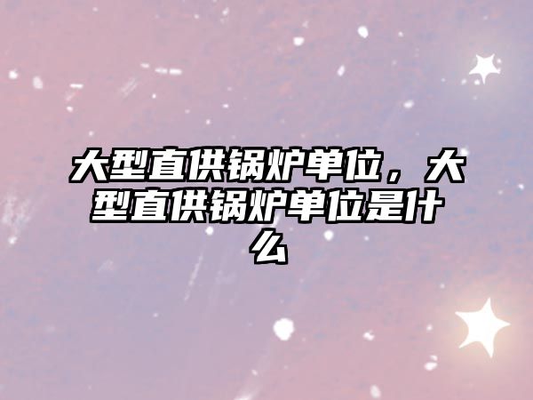 大型直供鍋爐單位，大型直供鍋爐單位是什么