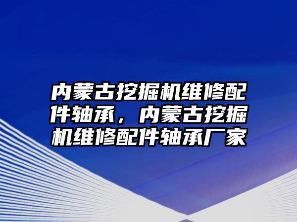 內(nèi)蒙古挖掘機維修配件軸承，內(nèi)蒙古挖掘機維修配件軸承廠家