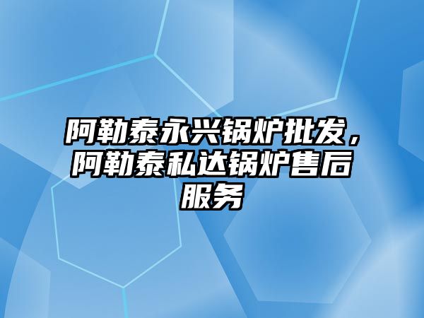 阿勒泰永興鍋爐批發(fā)，阿勒泰私達鍋爐售后服務