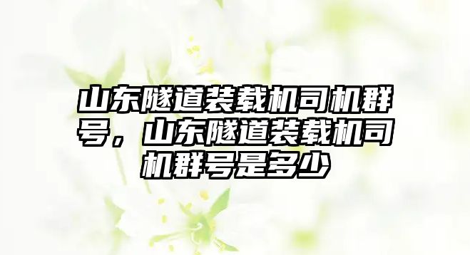 山東隧道裝載機司機群號，山東隧道裝載機司機群號是多少