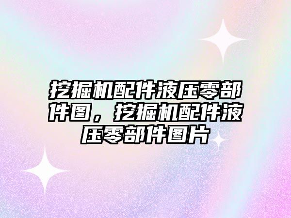 挖掘機配件液壓零部件圖，挖掘機配件液壓零部件圖片