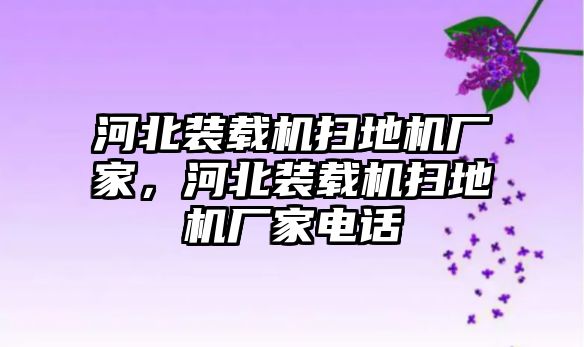 河北裝載機掃地機廠家，河北裝載機掃地機廠家電話