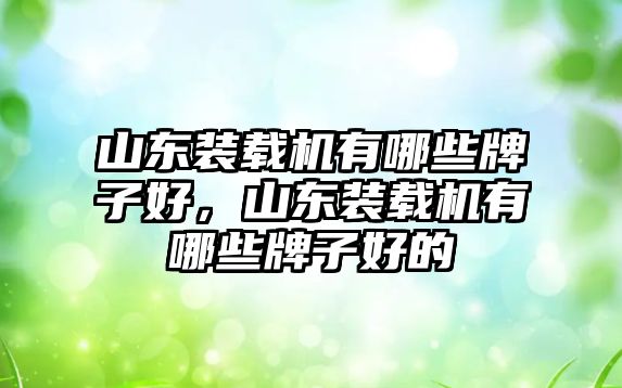 山東裝載機有哪些牌子好，山東裝載機有哪些牌子好的