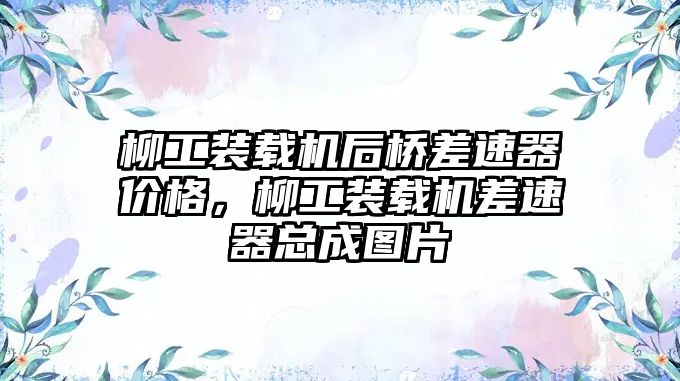 柳工裝載機后橋差速器價格，柳工裝載機差速器總成圖片