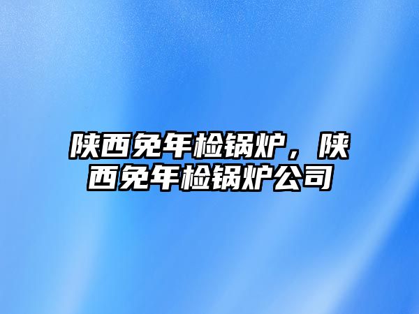 陜西免年檢鍋爐，陜西免年檢鍋爐公司