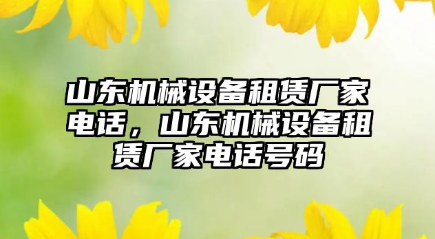 山東機械設(shè)備租賃廠家電話，山東機械設(shè)備租賃廠家電話號碼