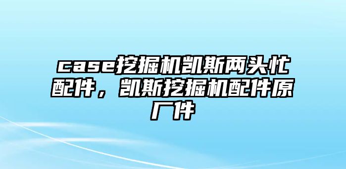 case挖掘機(jī)凱斯兩頭忙配件，凱斯挖掘機(jī)配件原廠件