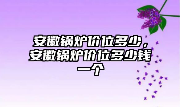 安徽鍋爐價(jià)位多少，安徽鍋爐價(jià)位多少錢(qián)一個(gè)