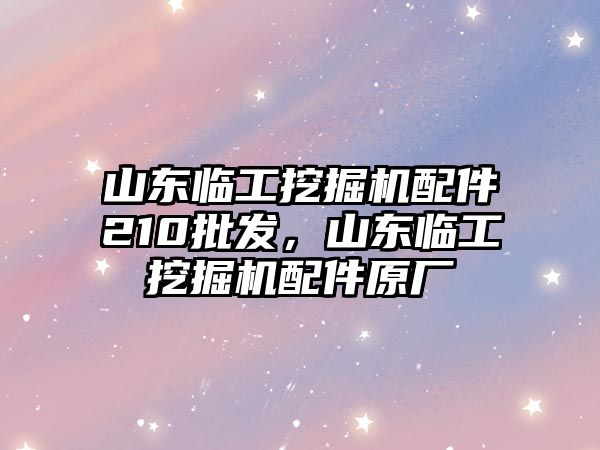 山東臨工挖掘機(jī)配件210批發(fā)，山東臨工挖掘機(jī)配件原廠