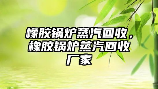 橡膠鍋爐蒸汽回收，橡膠鍋爐蒸汽回收廠(chǎng)家