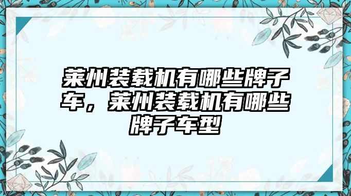 萊州裝載機有哪些牌子車，萊州裝載機有哪些牌子車型