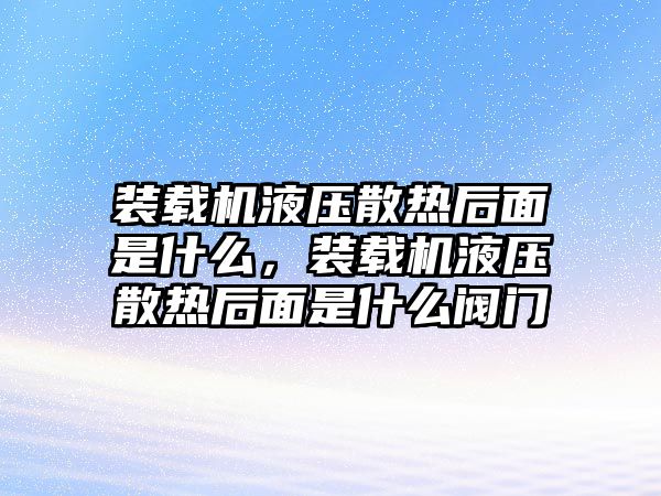 裝載機液壓散熱后面是什么，裝載機液壓散熱后面是什么閥門