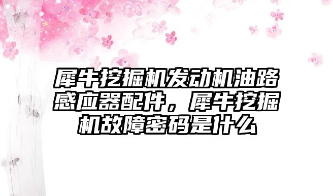 犀牛挖掘機發(fā)動機油路感應器配件，犀牛挖掘機故障密碼是什么