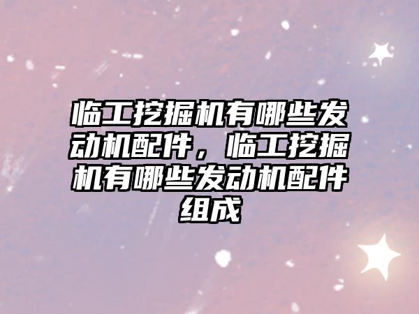 臨工挖掘機有哪些發(fā)動機配件，臨工挖掘機有哪些發(fā)動機配件組成