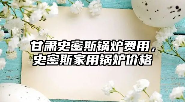 甘肅史密斯鍋爐費(fèi)用，史密斯家用鍋爐價格