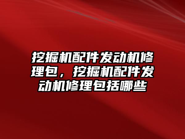 挖掘機配件發(fā)動機修理包，挖掘機配件發(fā)動機修理包括哪些