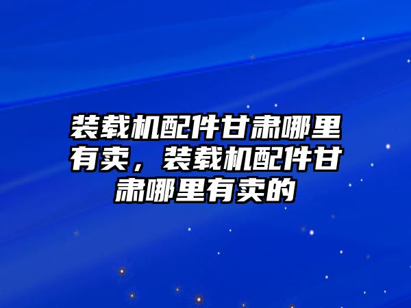 裝載機配件甘肅哪里有賣，裝載機配件甘肅哪里有賣的