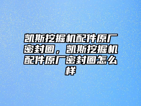 凱斯挖掘機配件原廠密封圈，凱斯挖掘機配件原廠密封圈怎么樣