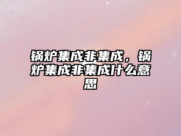 鍋爐集成非集成，鍋爐集成非集成什么意思