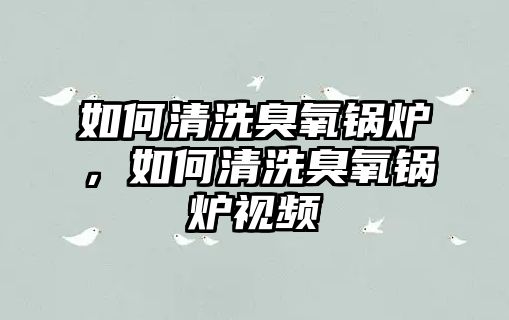 如何清洗臭氧鍋爐，如何清洗臭氧鍋爐視頻