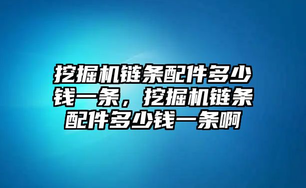 挖掘機(jī)鏈條配件多少錢一條，挖掘機(jī)鏈條配件多少錢一條啊