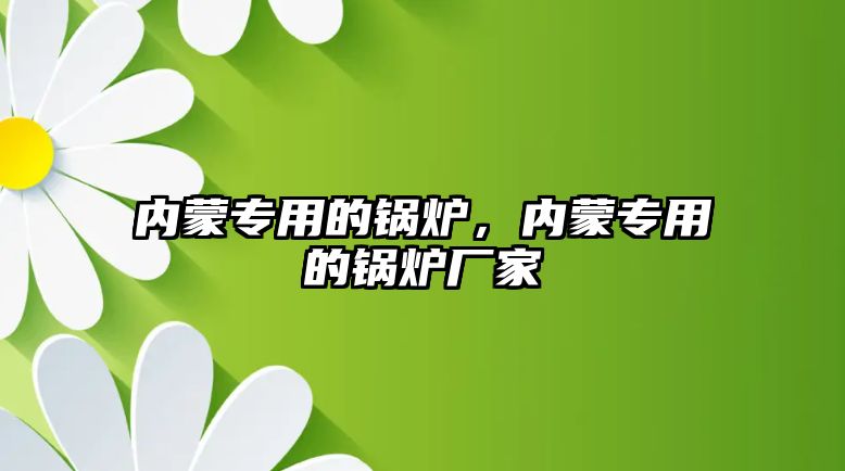 內蒙專用的鍋爐，內蒙專用的鍋爐廠家