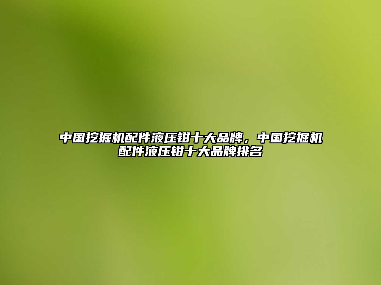 中國挖掘機配件液壓鉗十大品牌，中國挖掘機配件液壓鉗十大品牌排名