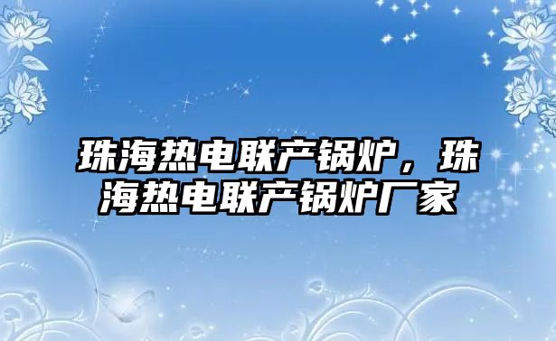 珠海熱電聯(lián)產(chǎn)鍋爐，珠海熱電聯(lián)產(chǎn)鍋爐廠家