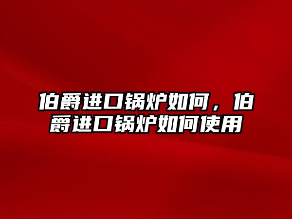 伯爵進口鍋爐如何，伯爵進口鍋爐如何使用