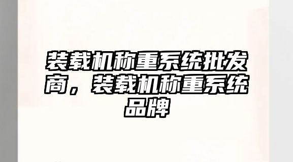 裝載機稱重系統(tǒng)批發(fā)商，裝載機稱重系統(tǒng)品牌