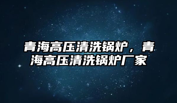 青海高壓清洗鍋爐，青海高壓清洗鍋爐廠家