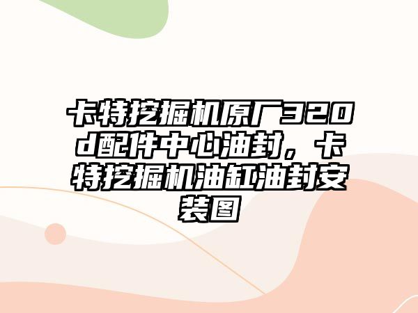 卡特挖掘機(jī)原廠320d配件中心油封，卡特挖掘機(jī)油缸油封安裝圖