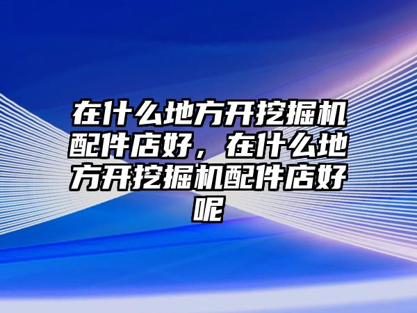 在什么地方開挖掘機配件店好，在什么地方開挖掘機配件店好呢