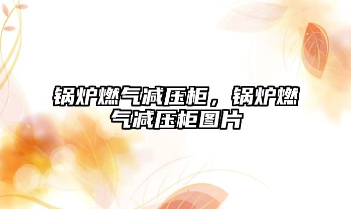 鍋爐燃?xì)鉁p壓柜，鍋爐燃?xì)鉁p壓柜圖片