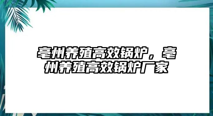 亳州養(yǎng)殖高效鍋爐，亳州養(yǎng)殖高效鍋爐廠家