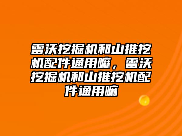 雷沃挖掘機和山推挖機配件通用嘛，雷沃挖掘機和山推挖機配件通用嘛