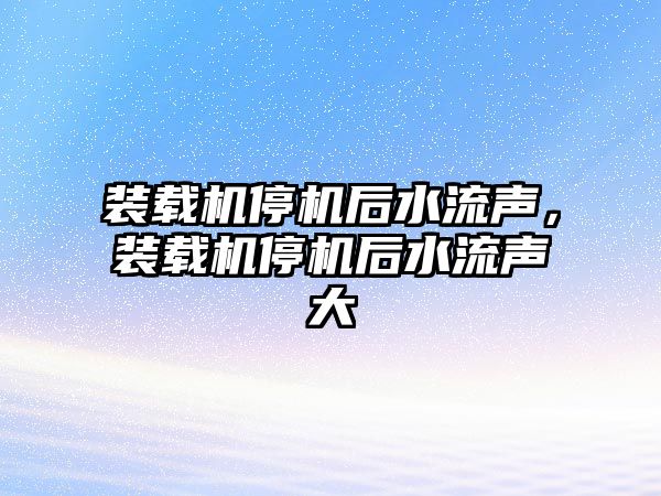 裝載機停機后水流聲，裝載機停機后水流聲大