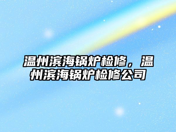 溫州濱海鍋爐檢修，溫州濱海鍋爐檢修公司