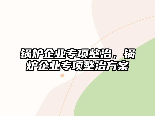 鍋爐企業(yè)專項整治，鍋爐企業(yè)專項整治方案