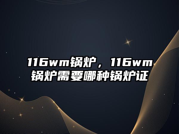 116wm鍋爐，116wm鍋爐需要哪種鍋爐證