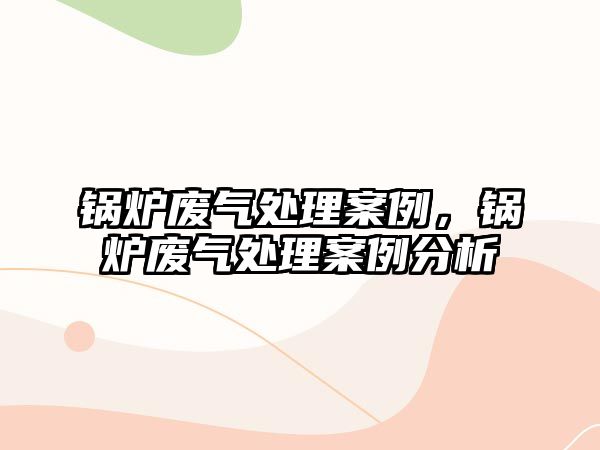 鍋爐廢氣處理案例，鍋爐廢氣處理案例分析