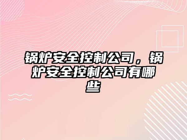 鍋爐安全控制公司，鍋爐安全控制公司有哪些