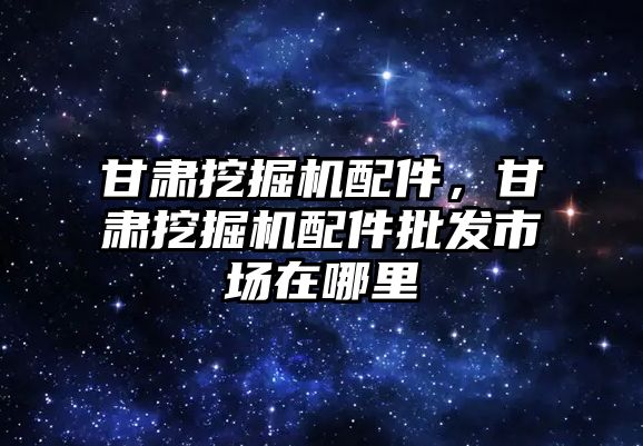 甘肅挖掘機配件，甘肅挖掘機配件批發(fā)市場在哪里