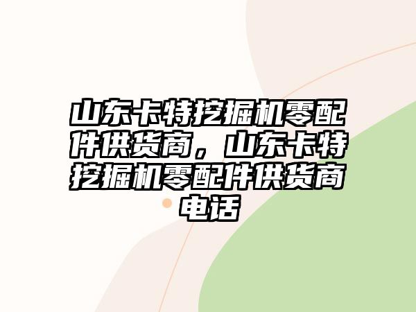 山東卡特挖掘機零配件供貨商，山東卡特挖掘機零配件供貨商電話