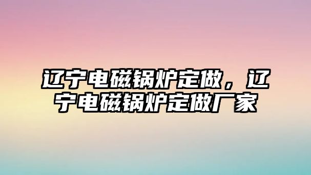 遼寧電磁鍋爐定做，遼寧電磁鍋爐定做廠家