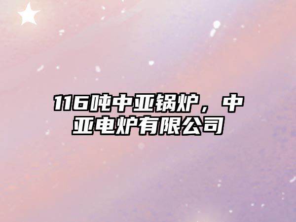 116噸中亞鍋爐，中亞電爐有限公司