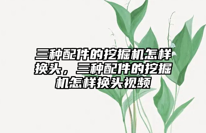 三種配件的挖掘機怎樣換頭，三種配件的挖掘機怎樣換頭視頻