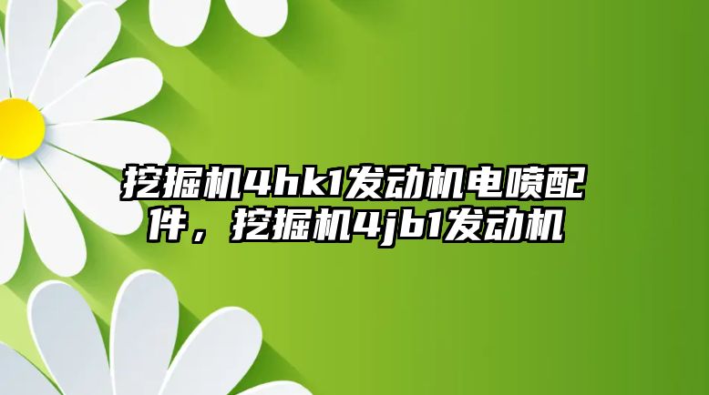 挖掘機4hk1發(fā)動機電噴配件，挖掘機4jb1發(fā)動機