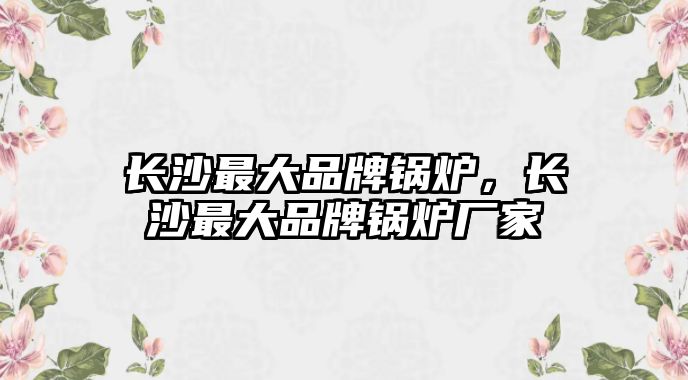 長沙最大品牌鍋爐，長沙最大品牌鍋爐廠家